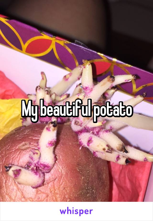 My beautiful potato