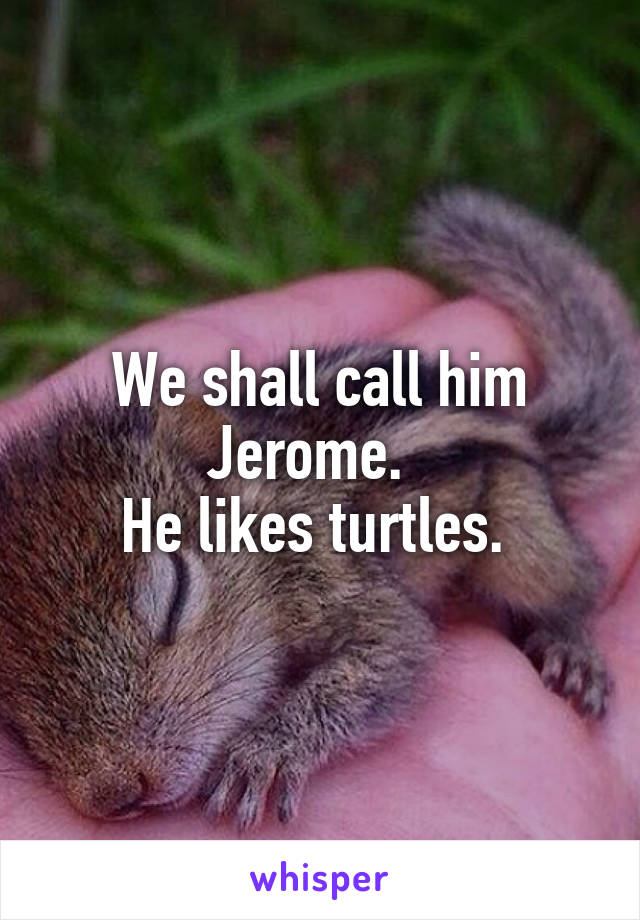 We shall call him Jerome.  
He likes turtles. 