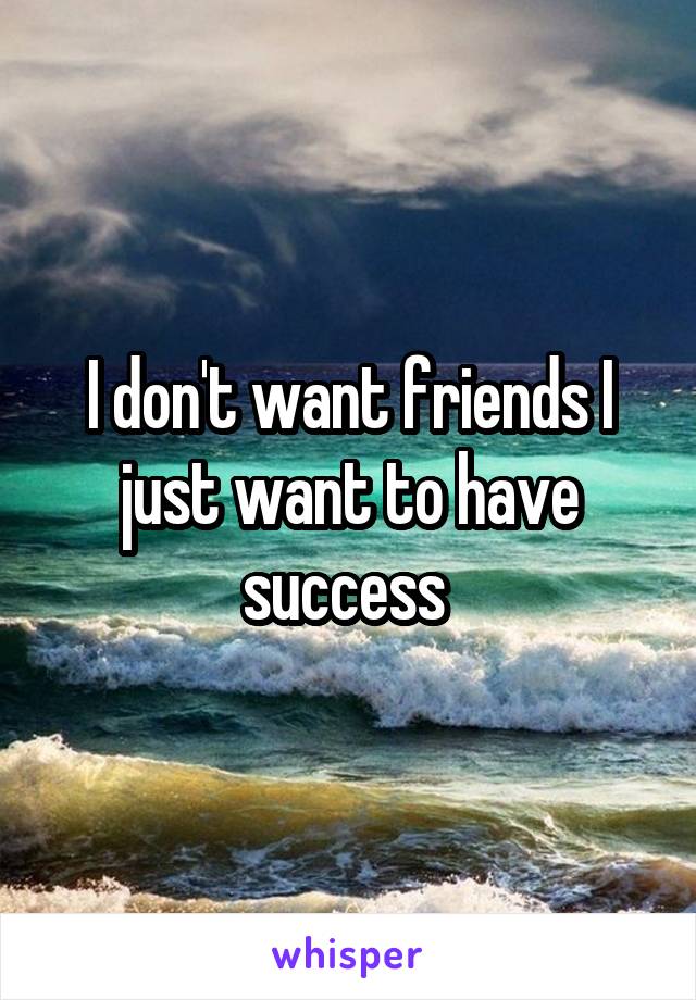 I don't want friends I just want to have success 