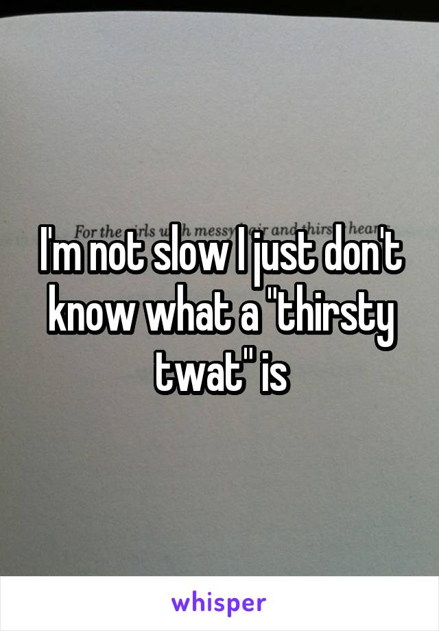 I'm not slow I just don't know what a "thirsty twat" is