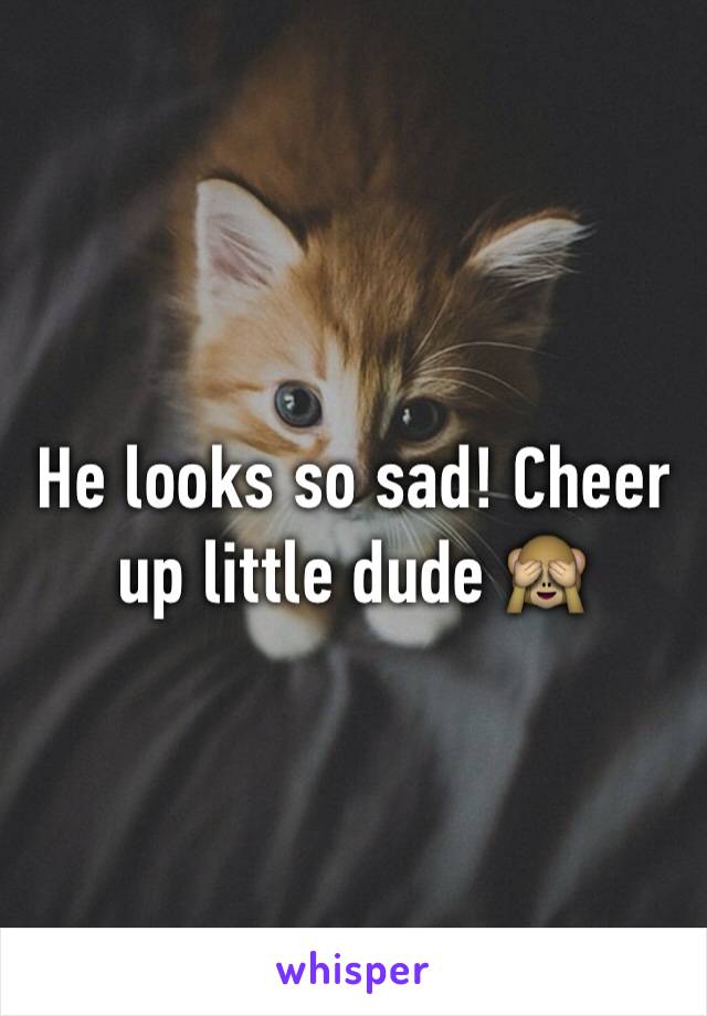 He looks so sad! Cheer up little dude 🙈