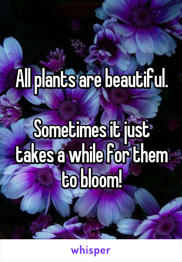 All plants are beautiful.

Sometimes it just takes a while for them to bloom!