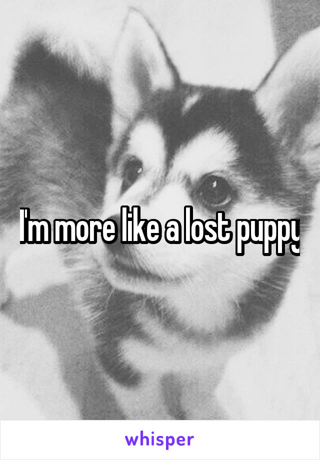 I'm more like a lost puppy