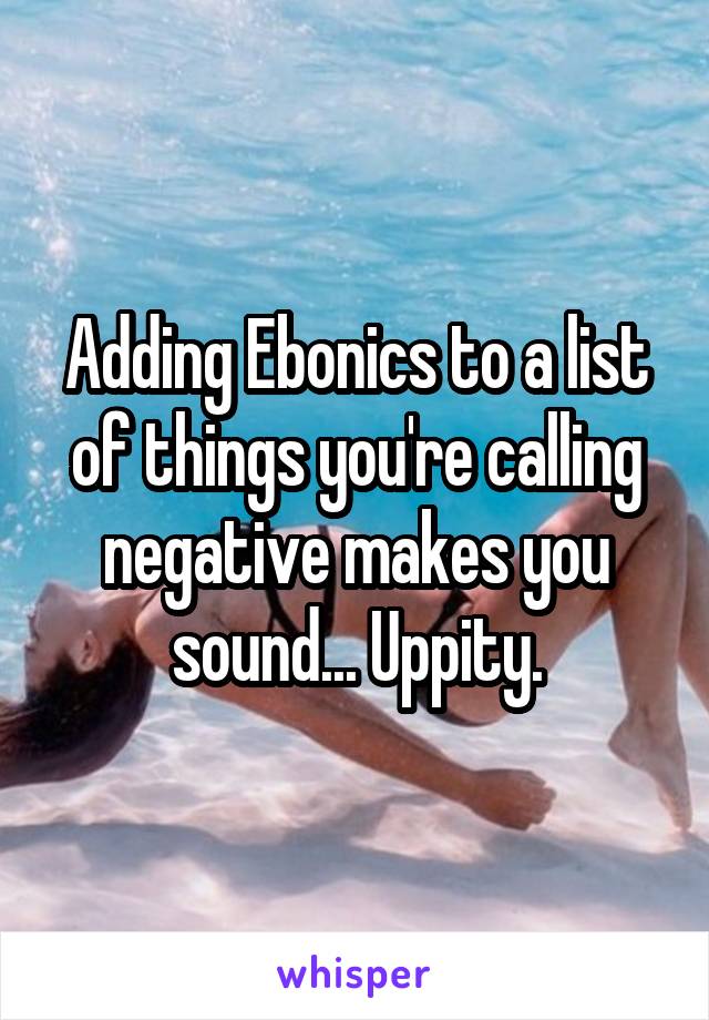 Adding Ebonics to a list of things you're calling negative makes you sound... Uppity.