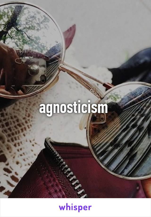 agnosticism 