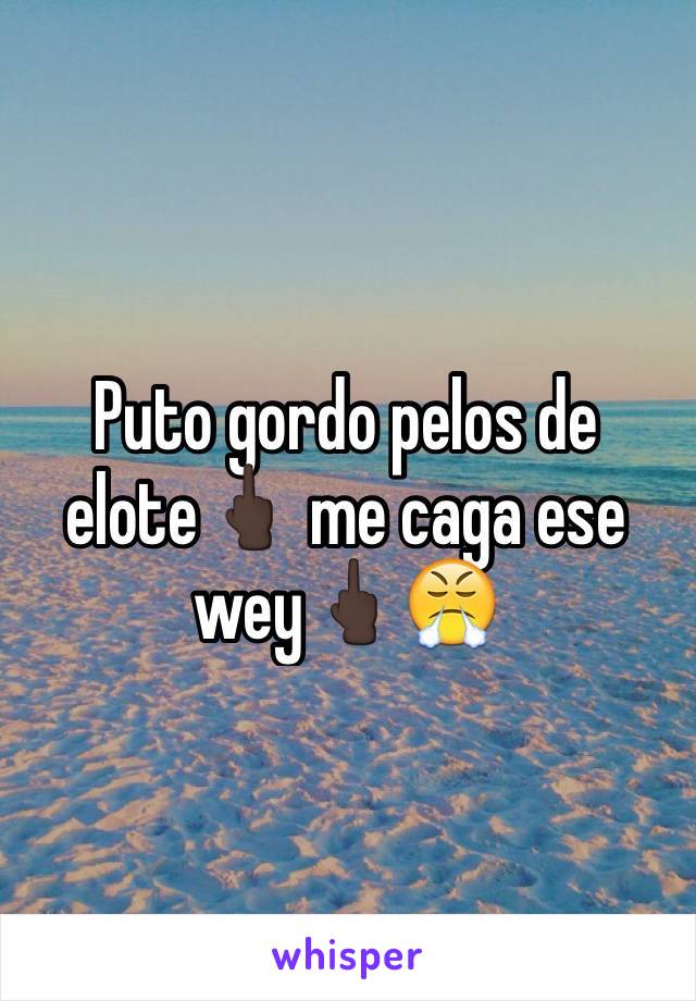 Puto gordo pelos de elote🖕🏿 me caga ese wey🖕🏿😤