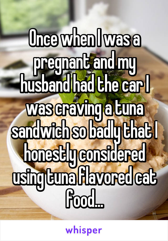 Once when I was a pregnant and my husband had the car I was craving a tuna sandwich so badly that I honestly considered using tuna flavored cat food...