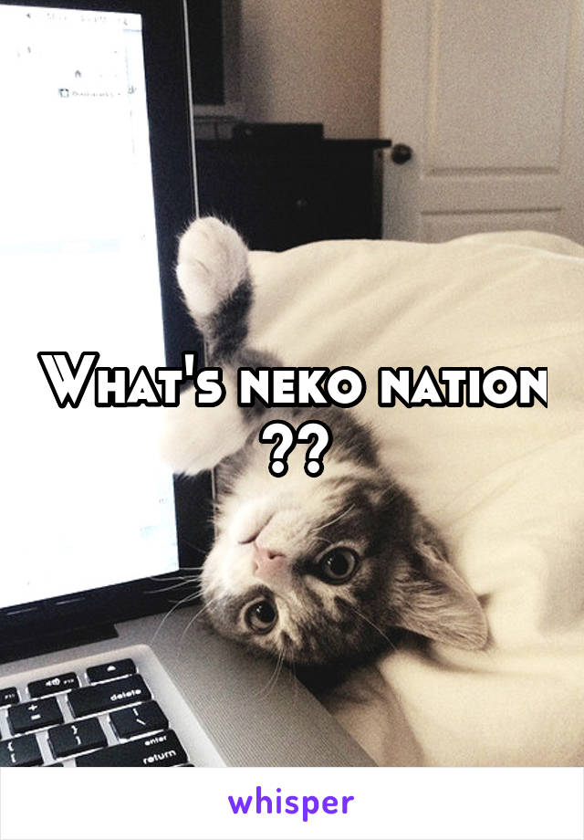 What's neko nation ??