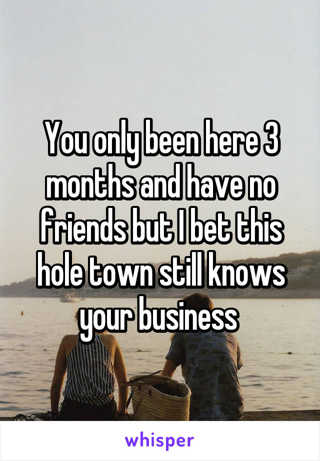 You only been here 3 months and have no friends but I bet this hole town still knows your business 