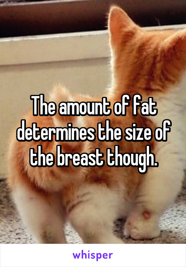 The amount of fat determines the size of the breast though.