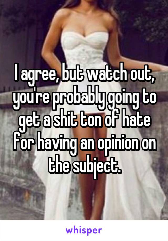 I agree, but watch out, you're probably going to get a shit ton of hate for having an opinion on the subject.