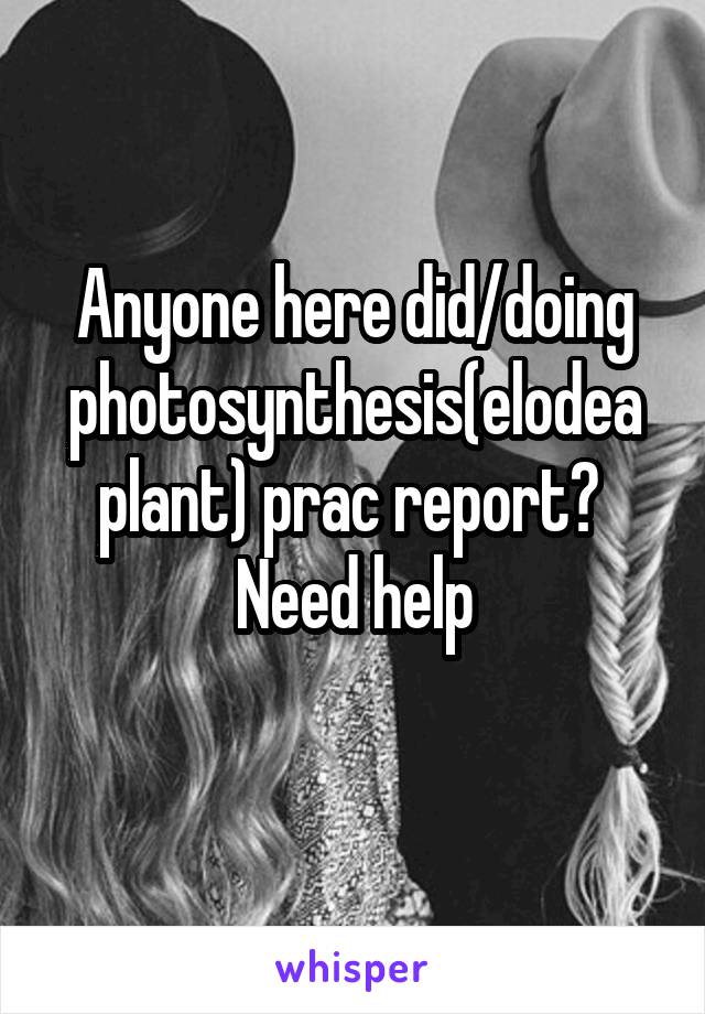 Anyone here did/doing photosynthesis(elodea plant) prac report? 
Need help
