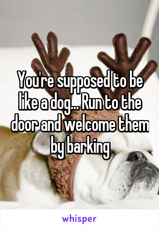 You're supposed to be like a dog... Run to the door and welcome them by barking