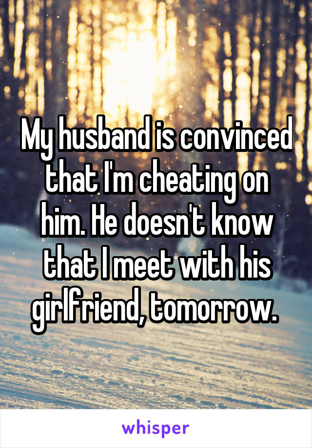 My husband is convinced that I'm cheating on him. He doesn't know that I meet with his girlfriend, tomorrow. 