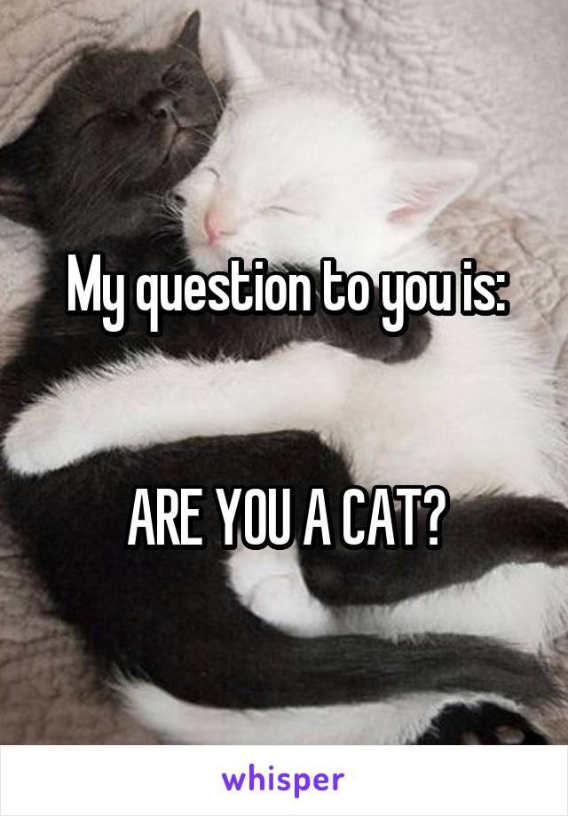 My question to you is:


ARE YOU A CAT?