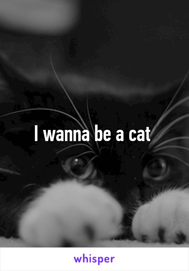 I wanna be a cat 