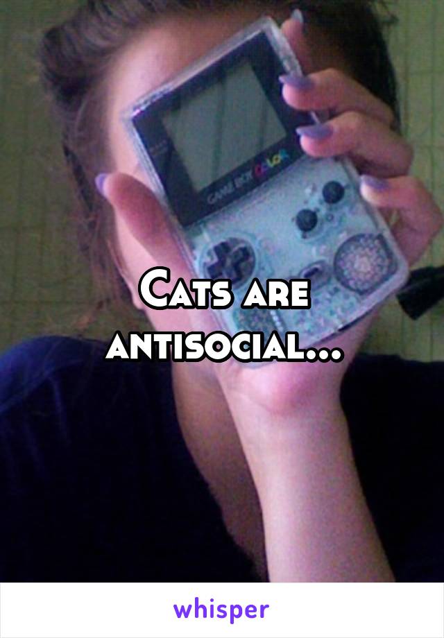 Cats are antisocial...