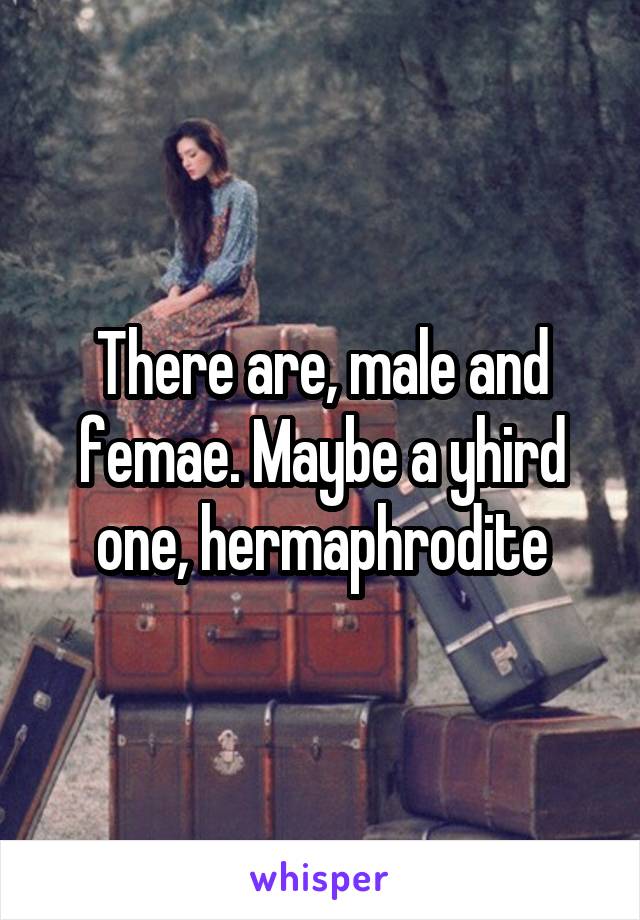 There are, male and femae. Maybe a yhird one, hermaphrodite