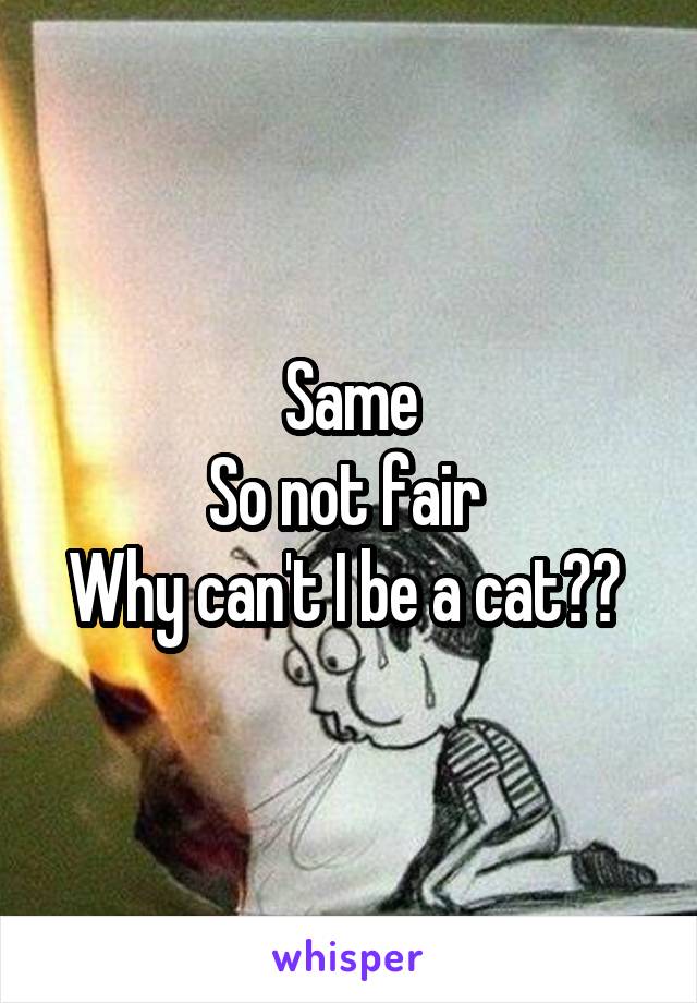 Same
So not fair 
Why can't I be a cat?? 
