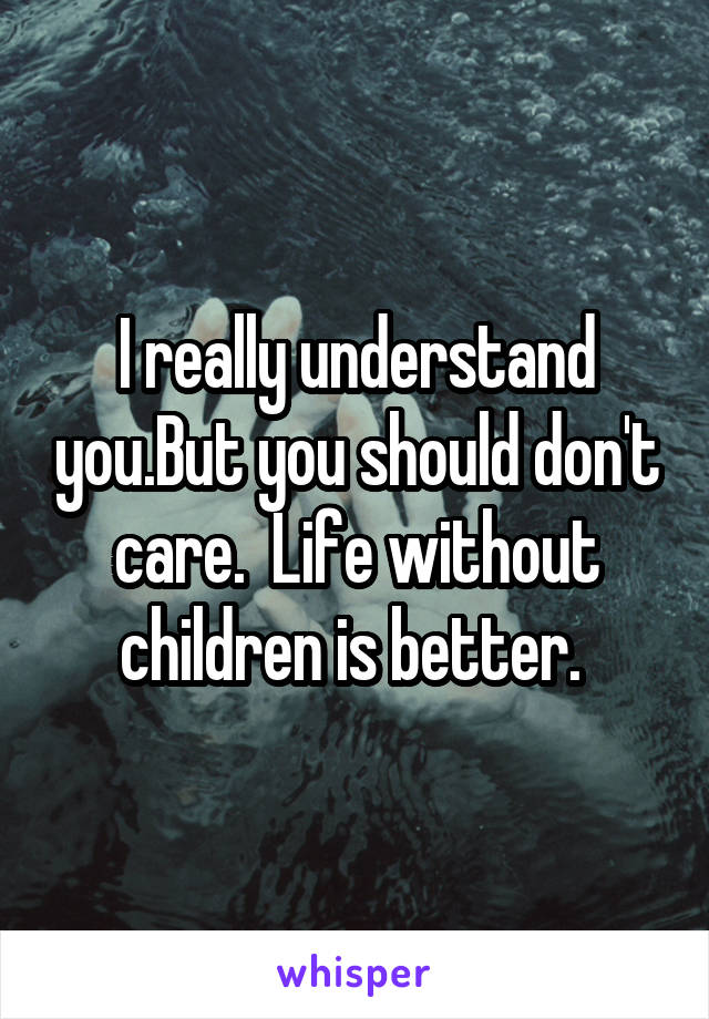 I really understand you.But you should don't care.  Life without children is better. 