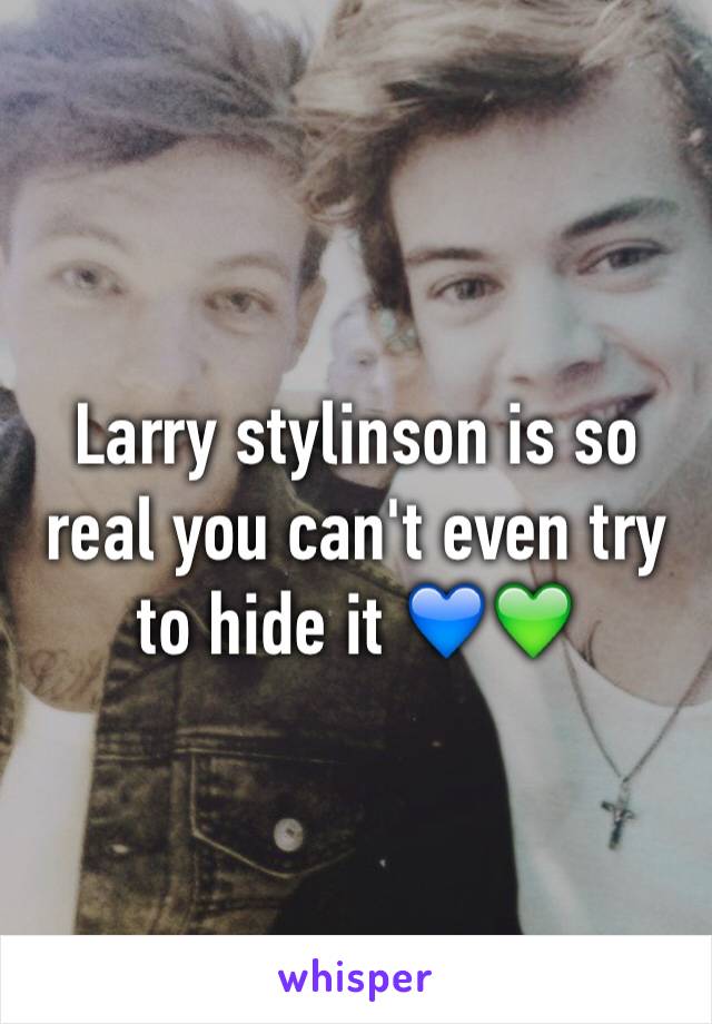 Larry stylinson is so real you can't even try to hide it 💙💚