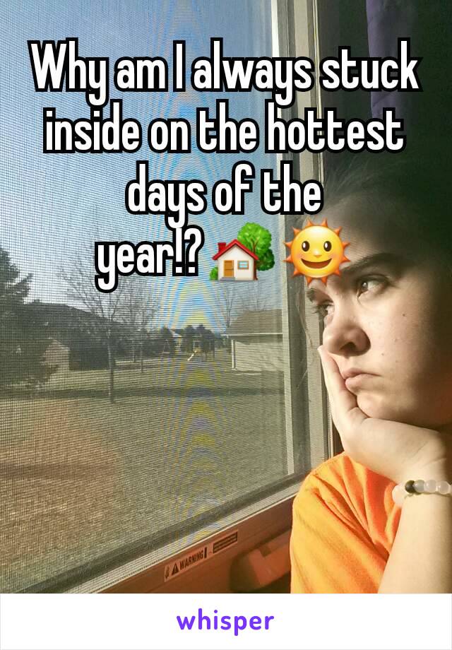 Why am I always stuck inside on the hottest days of the year!?🏡🌞