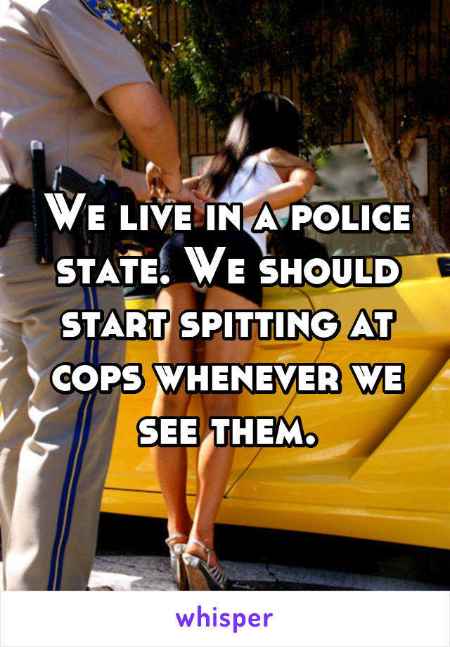 We live in a police state. We should start spitting at cops whenever we see them.
