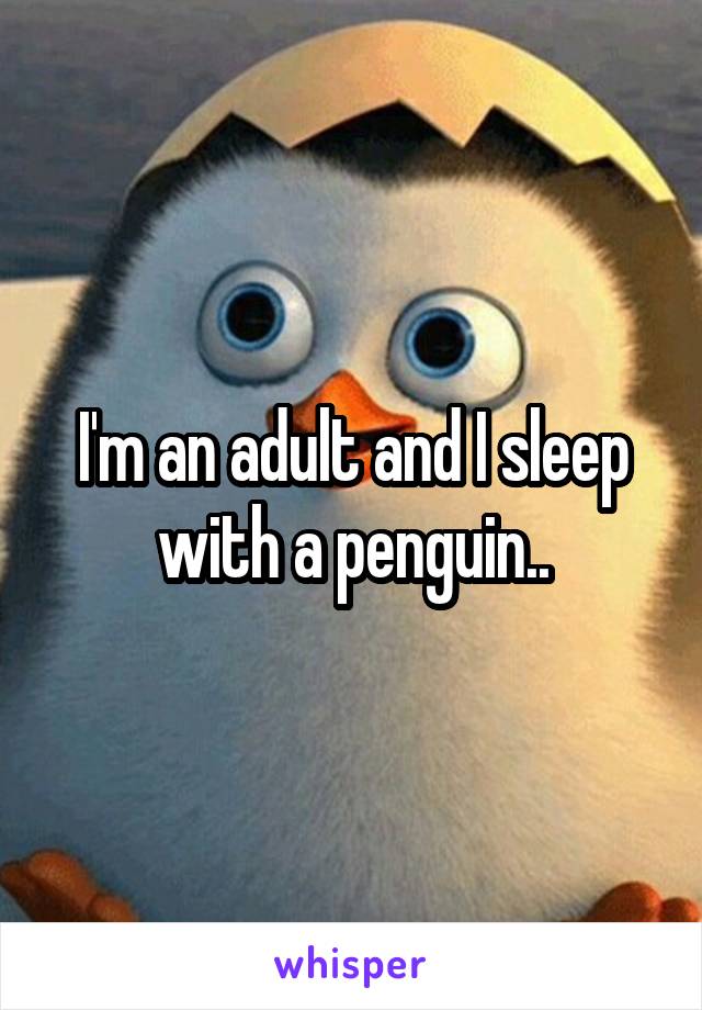 I'm an adult and I sleep with a penguin..