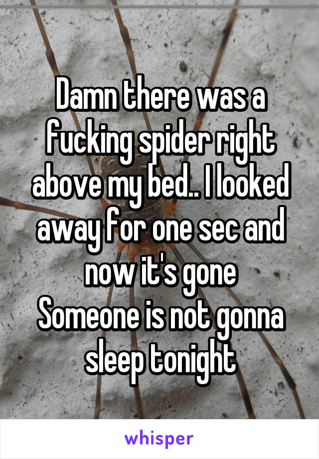 Damn there was a fucking spider right above my bed.. I looked away for one sec and now it's gone
Someone is not gonna sleep tonight