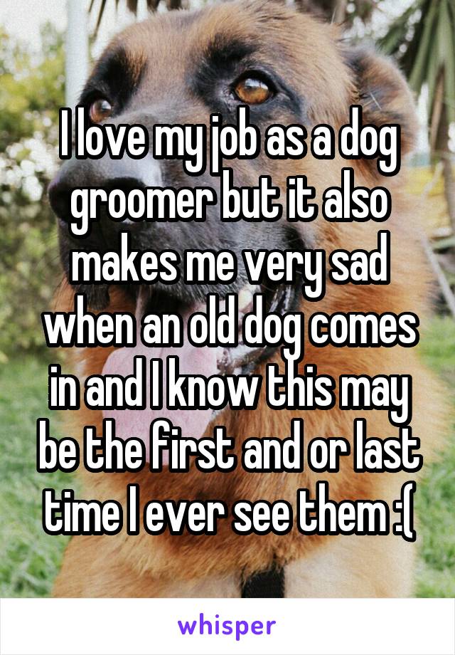 I love my job as a dog groomer but it also makes me very sad when an old dog comes in and I know this may be the first and or last time I ever see them :(