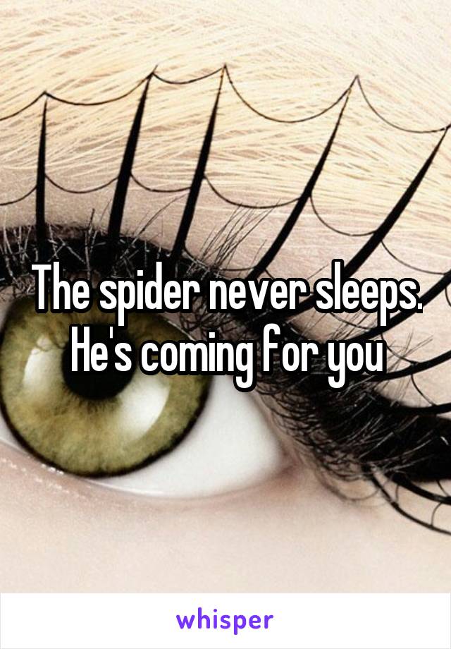 The spider never sleeps.
He's coming for you