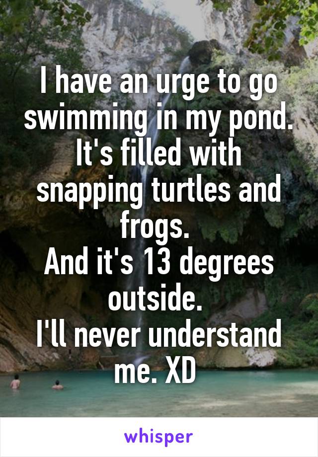 I have an urge to go swimming in my pond.
It's filled with snapping turtles and frogs. 
And it's 13 degrees outside. 
I'll never understand me. XD 