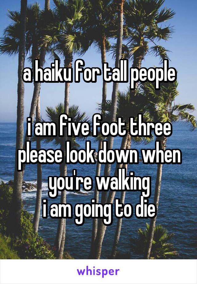 a haiku for tall people

i am five foot three
please look down when you're walking
i am going to die