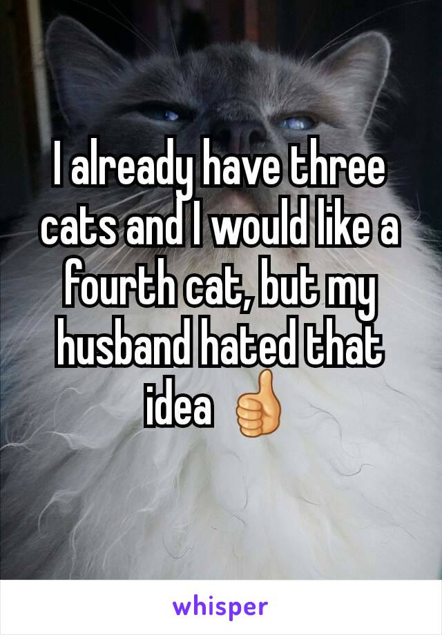 I already have three cats and I would like a fourth cat, but my husband hated that idea 👍