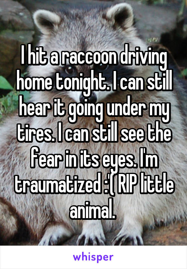 I hit a raccoon driving home tonight. I can still hear it going under my tires. I can still see the fear in its eyes. I'm traumatized :'( RIP little animal. 