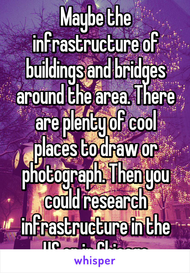 Maybe the infrastructure of buildings and bridges around the area. There are plenty of cool places to draw or photograph. Then you could research infrastructure in the US or in Chicago