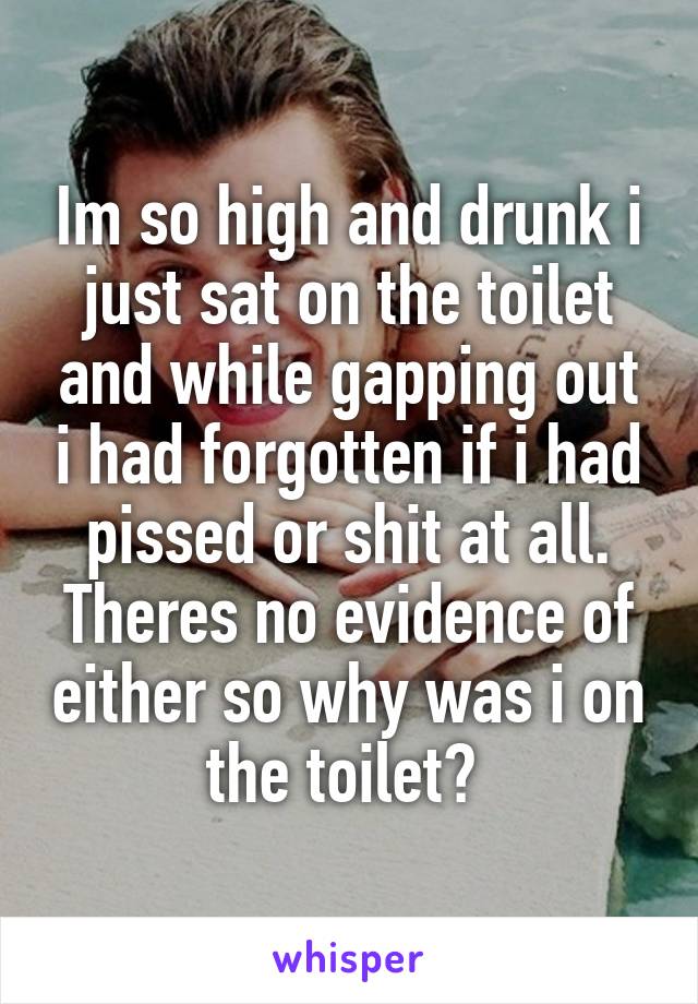 Im so high and drunk i just sat on the toilet and while gapping out i had forgotten if i had pissed or shit at all. Theres no evidence of either so why was i on the toilet? 