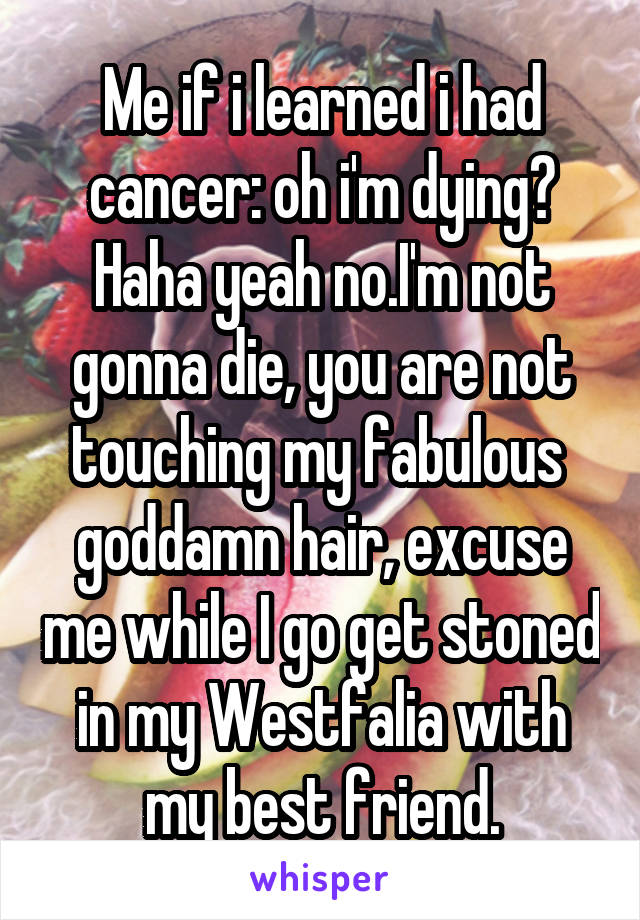 Me if i learned i had cancer: oh i'm dying? Haha yeah no.I'm not gonna die, you are not touching my fabulous  goddamn hair, excuse me while I go get stoned in my Westfalia with my best friend.