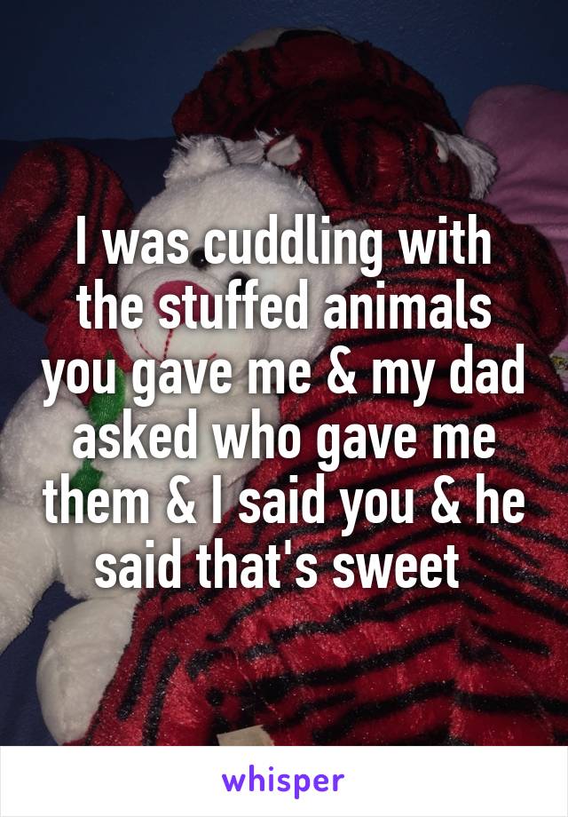 I was cuddling with the stuffed animals you gave me & my dad asked who gave me them & I said you & he said that's sweet 