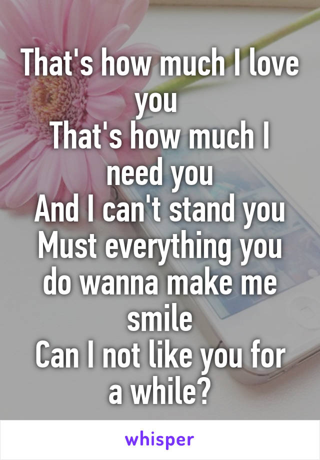 That's how much I love you 
That's how much I need you
And I can't stand you
Must everything you do wanna make me smile
Can I not like you for a while?