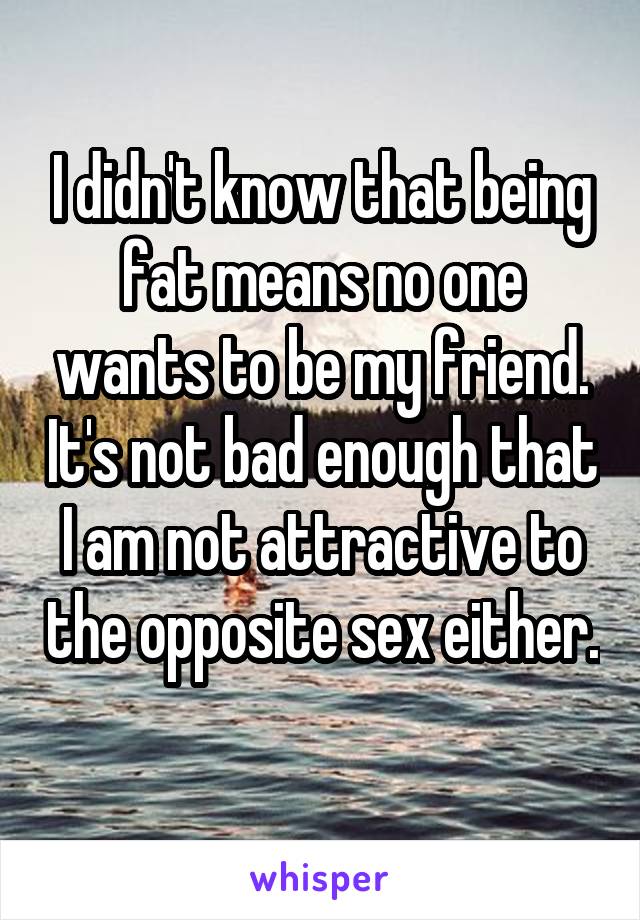 I didn't know that being fat means no one wants to be my friend. It's not bad enough that I am not attractive to the opposite sex either. 