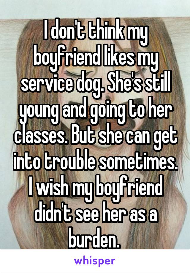 I don't think my boyfriend likes my service dog. She's still young and going to her classes. But she can get into trouble sometimes. I wish my boyfriend didn't see her as a burden. 