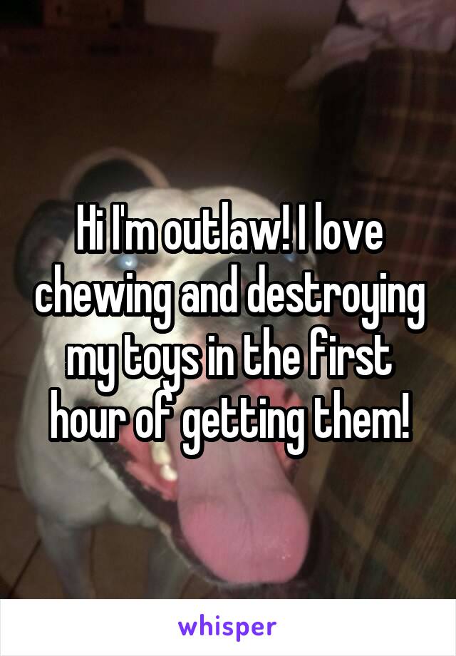 Hi I'm outlaw! I love chewing and destroying my toys in the first hour of getting them!