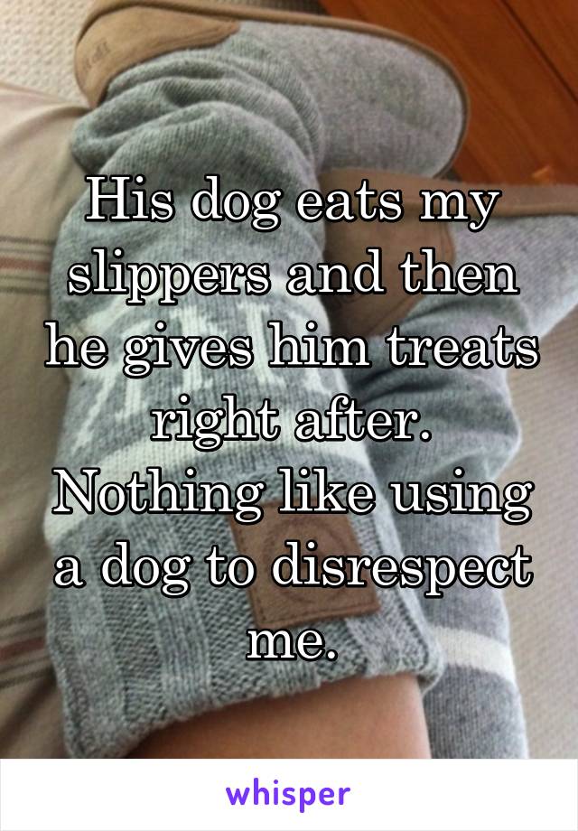 His dog eats my slippers and then he gives him treats right after. Nothing like using a dog to disrespect me.