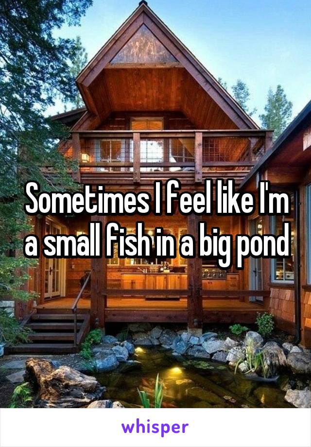 Sometimes I feel like I'm a small fish in a big pond