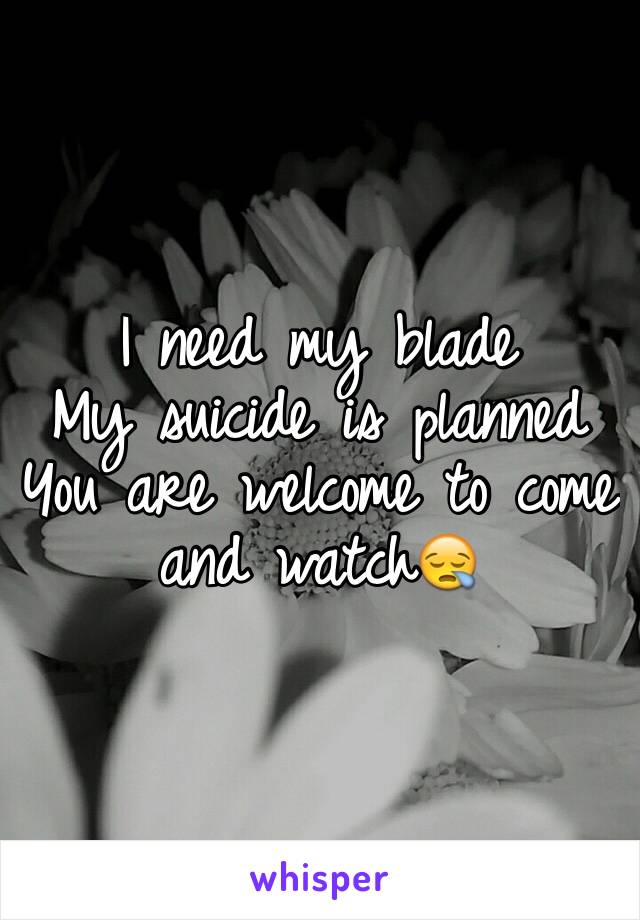 I need my blade
My suicide is planned
You are welcome to come and watch😪