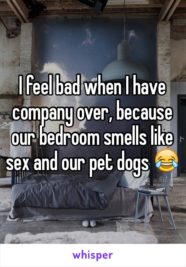 I feel bad when I have company over, because our bedroom smells like sex and our pet dogs 😂