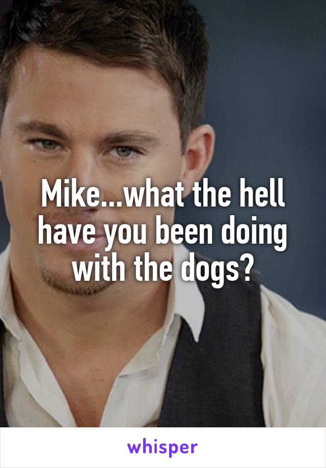 Mike...what the hell have you been doing with the dogs?