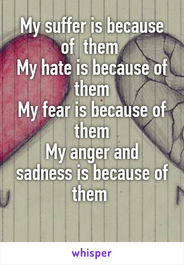 My suffer is because of  them 
My hate is because of them
My fear is because of them
My anger and sadness is because of them 

