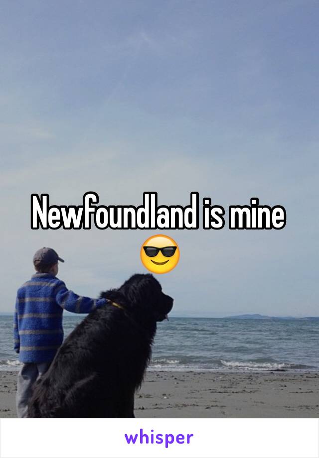 Newfoundland is mine 😎